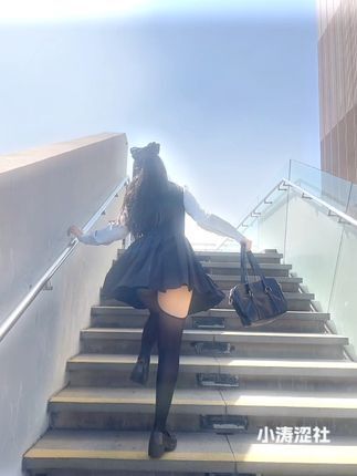 不呆猫图集分享，路人照曝光